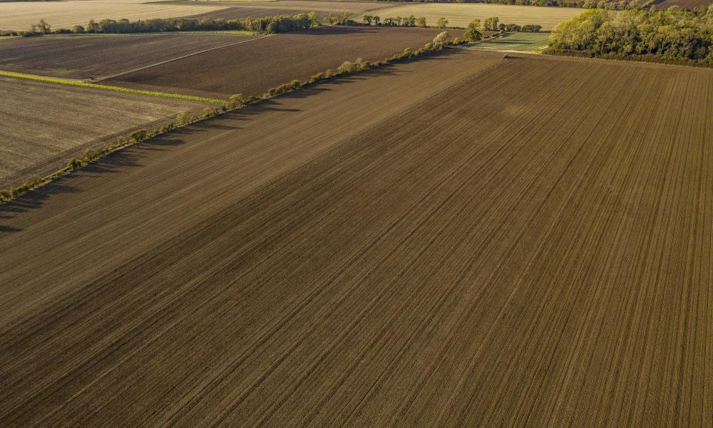 Farmland covers 70% of the UK. Since the 1970s