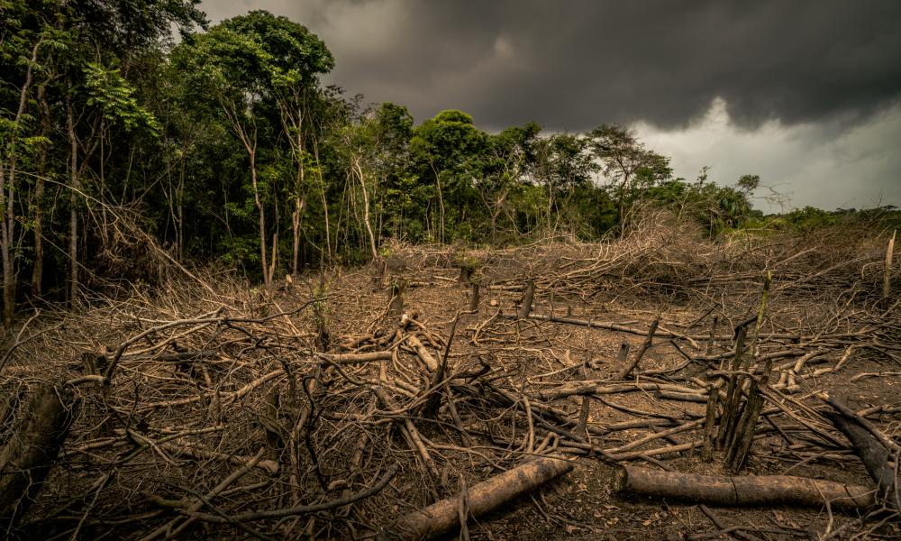 Amazon deforestation, Colombia