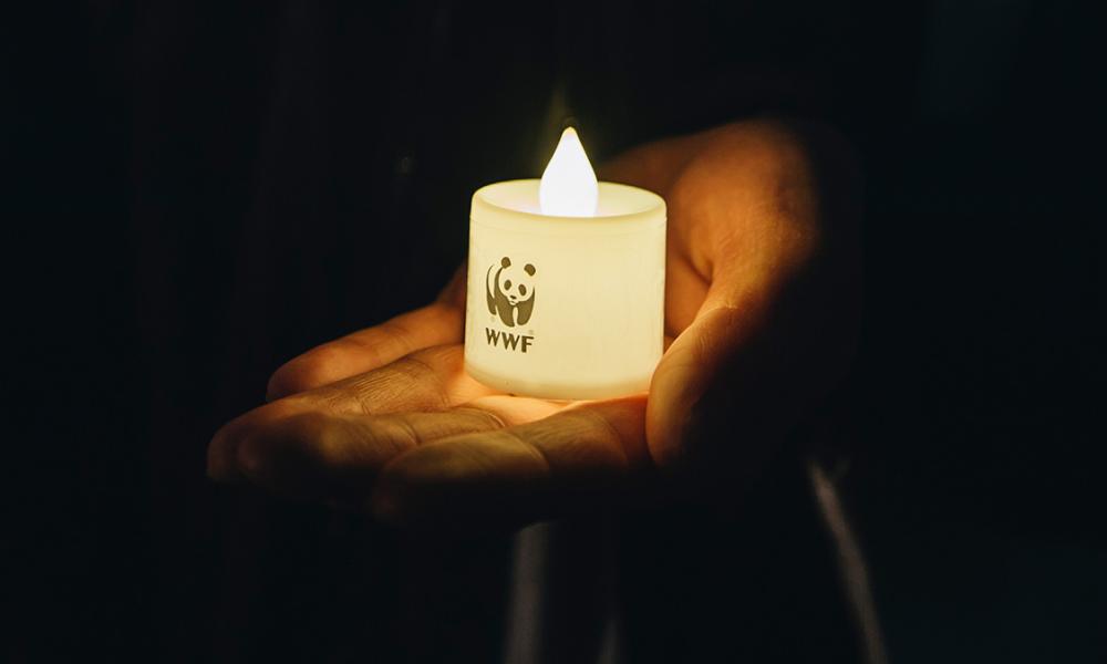 Earth Hour © Daebong Kim