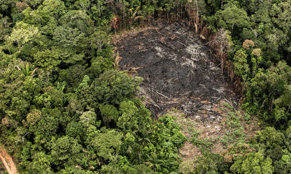 Aerial view of forest burns due to colonization front near the northern border of Chiribiquete National Park