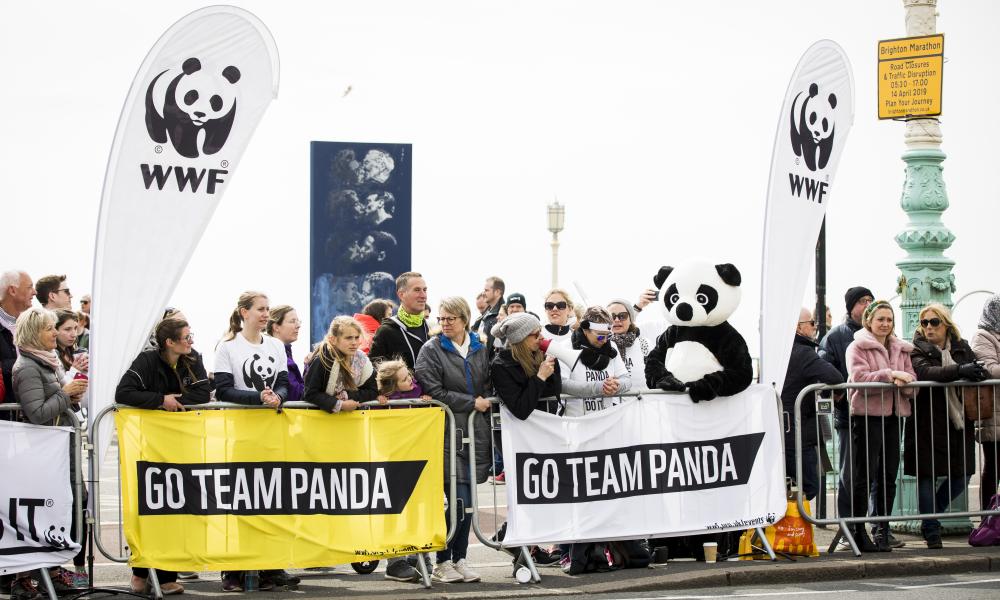 Brighton Marathon WWF cheerers