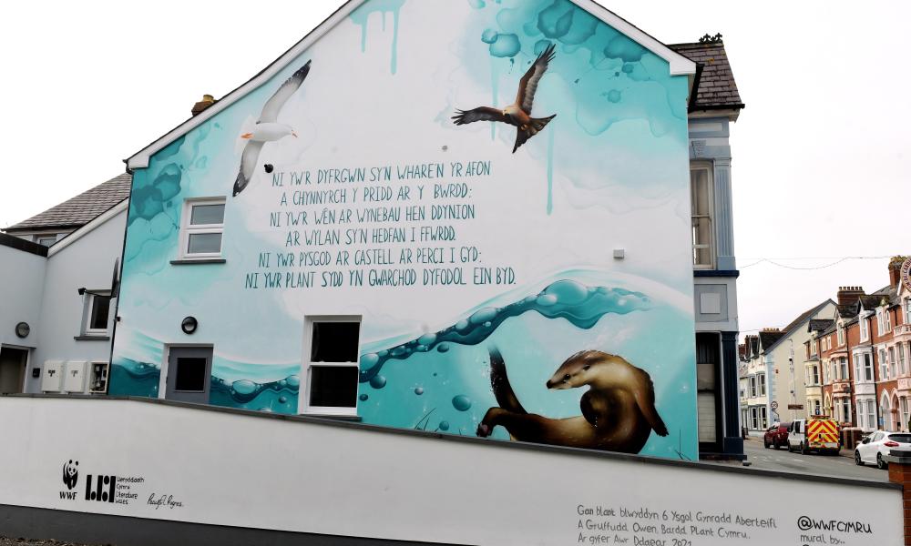 Earth Hour mural in Cardigan, Wales