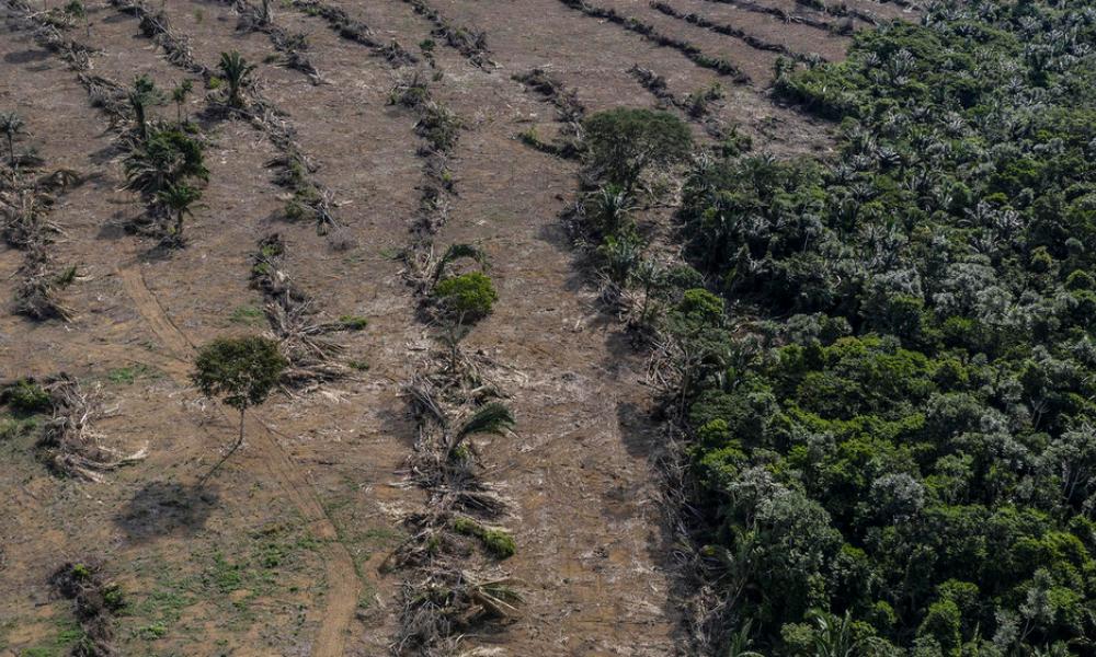 Deforestation next to a soybean plantation along the BR-364 highway near the Jamari River, Rondônia.