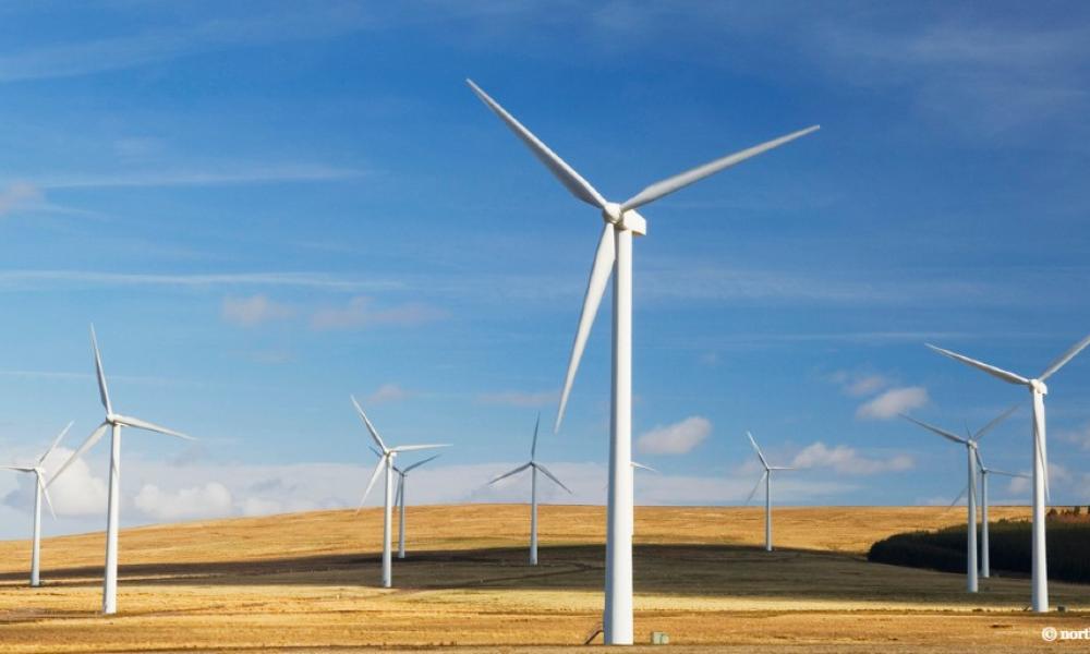 Wind farm