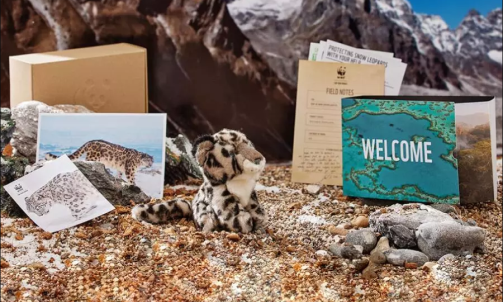 Snow Leopard Adoption Pack