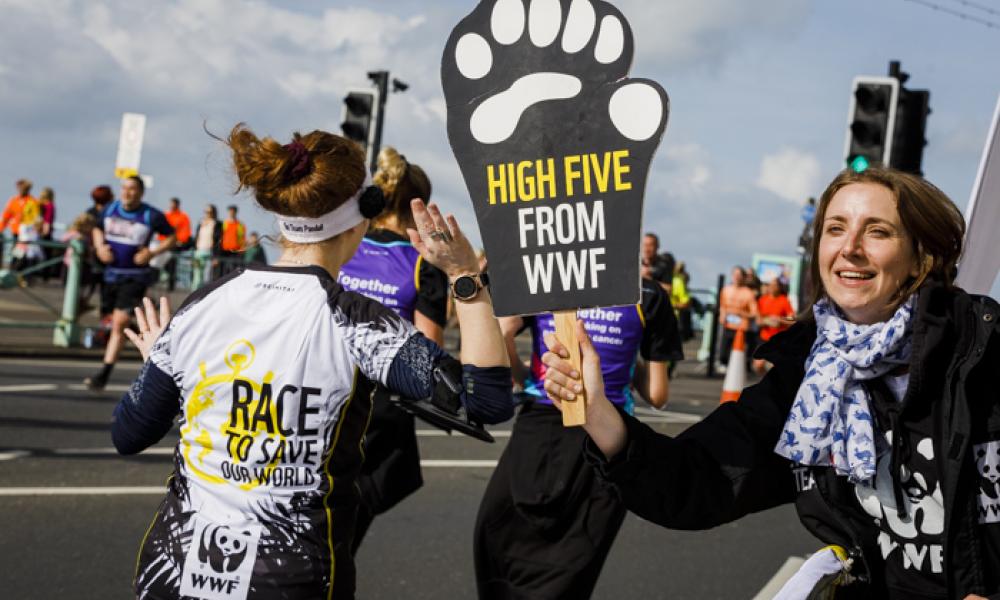 WWF runner high-fiving on course