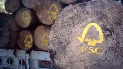 FSC logo painted on sustainable harvested logs FSC logo painted on sustainable harvested logs