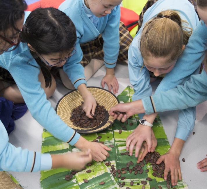 Pupils taking part in the Tropical Chocolate workshop © Tristan Fewings / WWF-UK