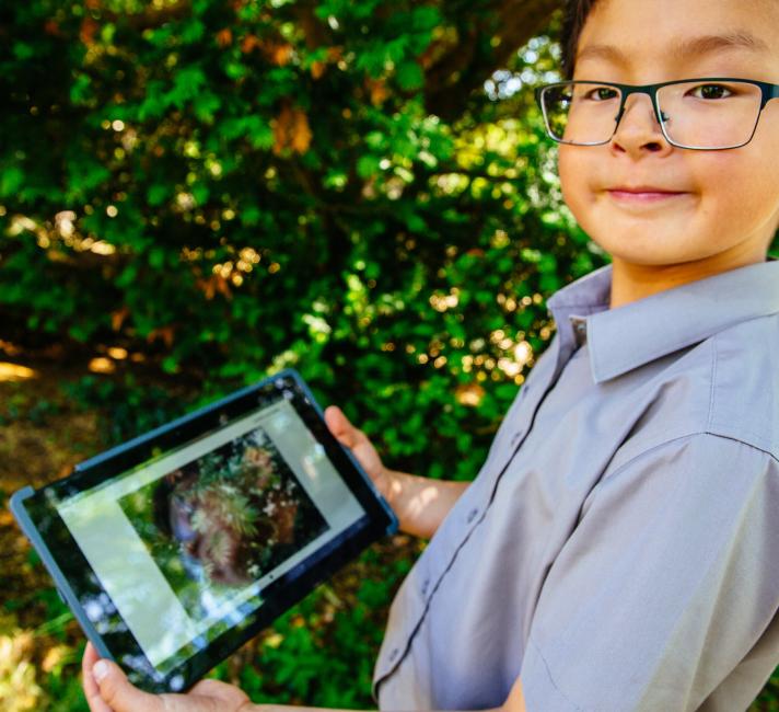 A boy uses the seek app to explore local nature