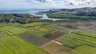 Aerial view of the Korovatu sugar cane farmland area Aerial view of the Korovatu sugar cane farmland area