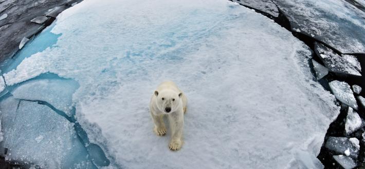 Threats to Nature: Climate Crisis (Primary)