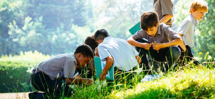 Education for Sustainable Development