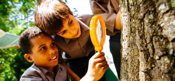 Educator Webinar: Planning School Action for Sustainability