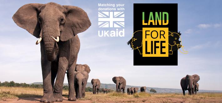 Donate to our Land For life appeal