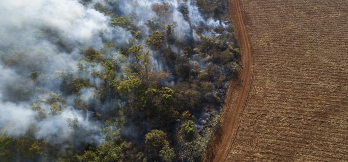 Give to the climate crisis fund