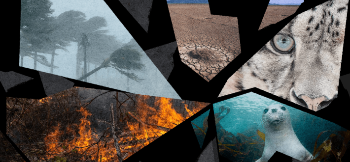 Explore the climate promises that must be kept