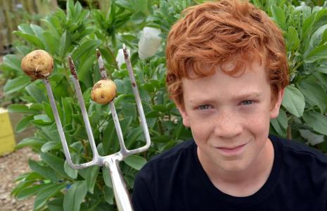 Growing food at school