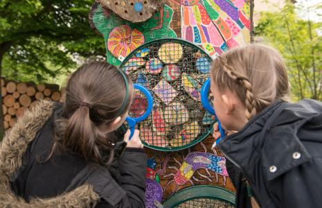 Top tips for surveying wildlife