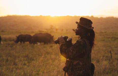 KS2 Webinar: Threats to Wildlife, 11 FEB @ 11.00