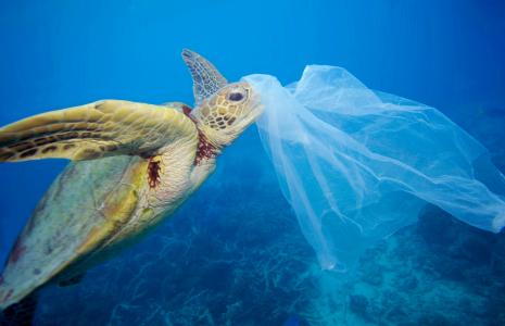Fight against plastic pollution