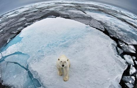 Threats to Nature: Climate Crisis (Primary)