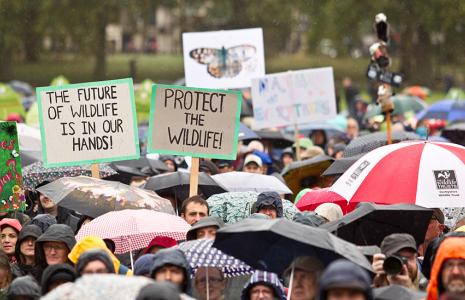 Join a March