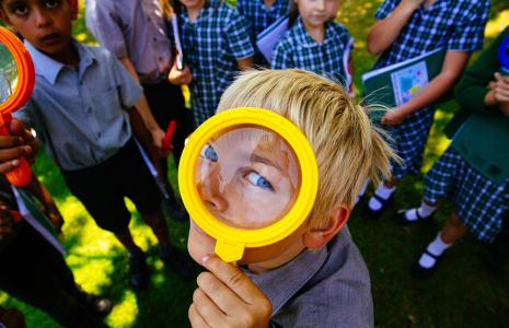 Top tips for surveying wildlife