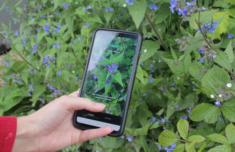 Get the Seek App