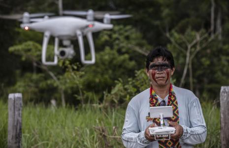 5 ways to help the Amazon