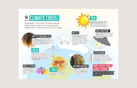 Climate Crisis!