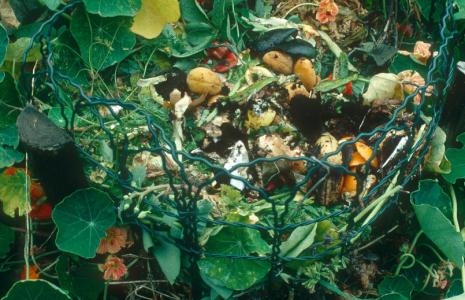 All about compost