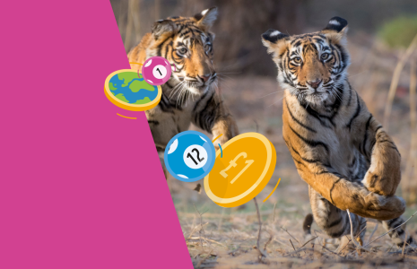 Play our new Weekly Lottery