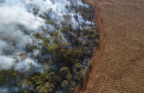 Give to the climate crisis fund