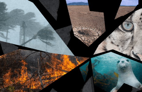 THE CLIMATE PROMISES THAT MUST BE KEPT