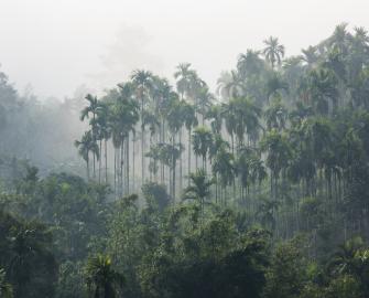 Test your natural world knowledge
