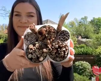 Make it: Create a habitat for bees