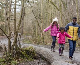 The Big Winter Wander