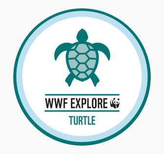 Turtle Explore Badge