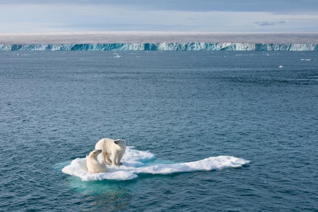 Two polar bears on a ice of ice in the Artic Ocean, Svalbard © Florian Schulz / visionsofthewild.com