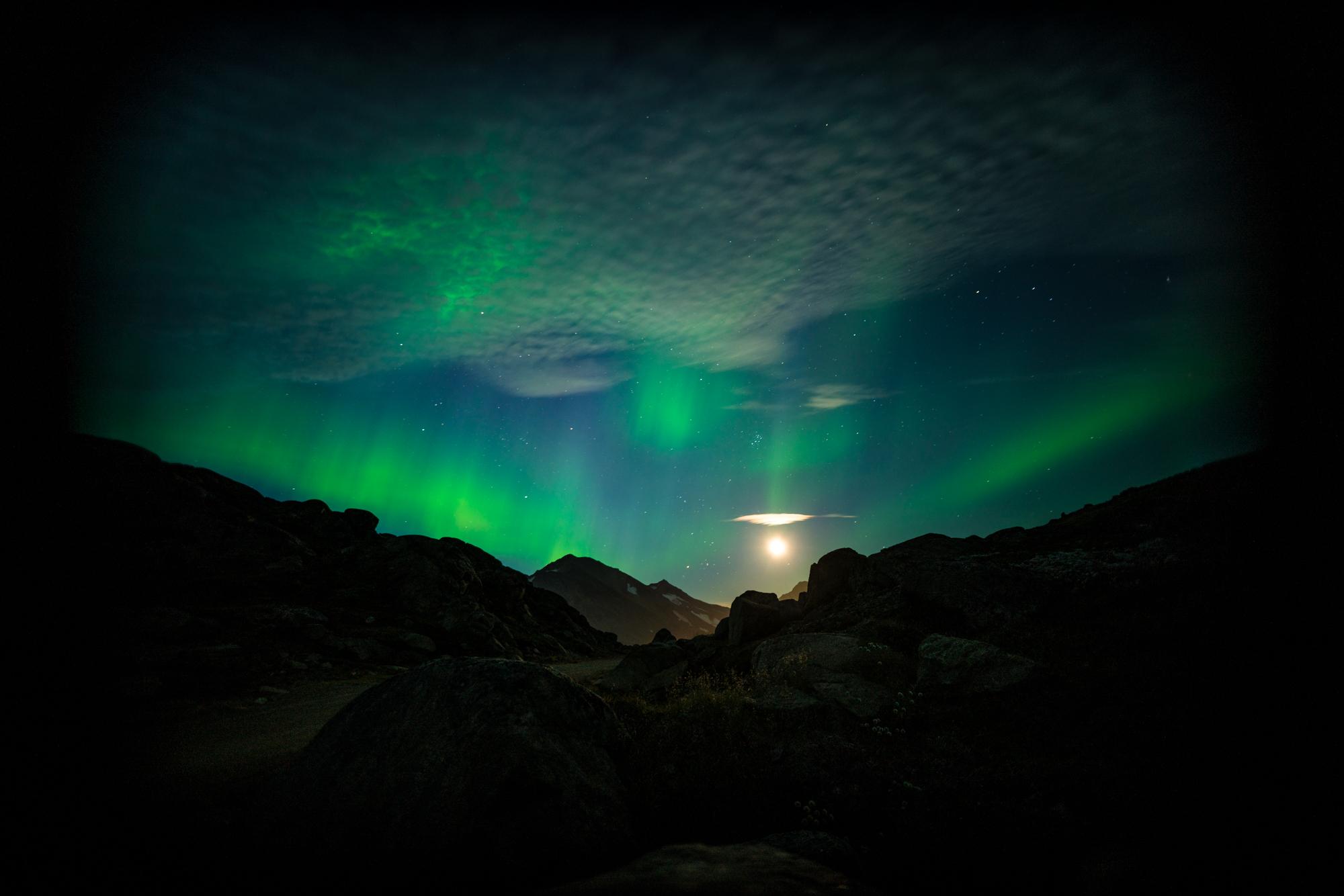 Northern lights above the Arctic