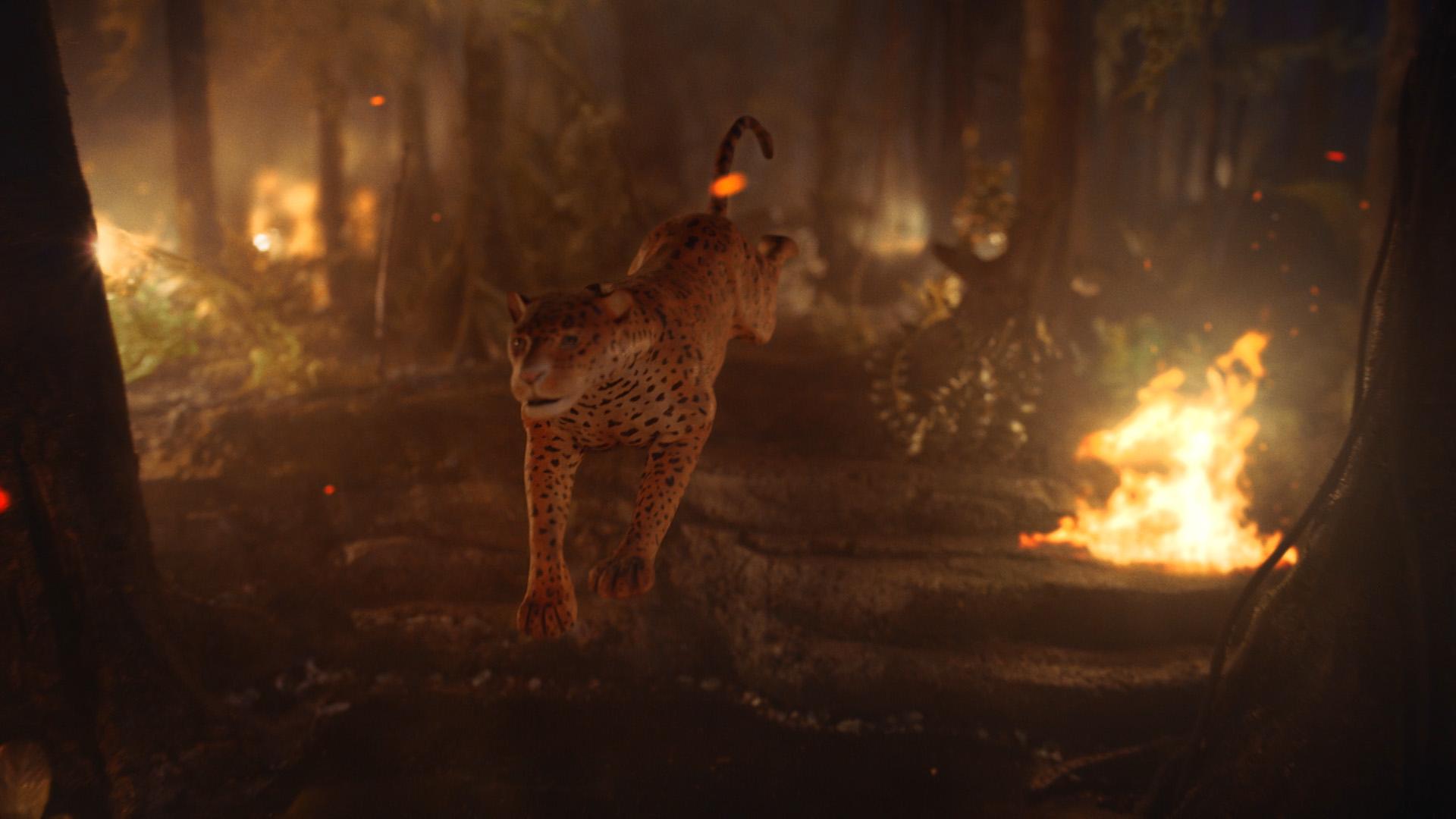 Jaguar running