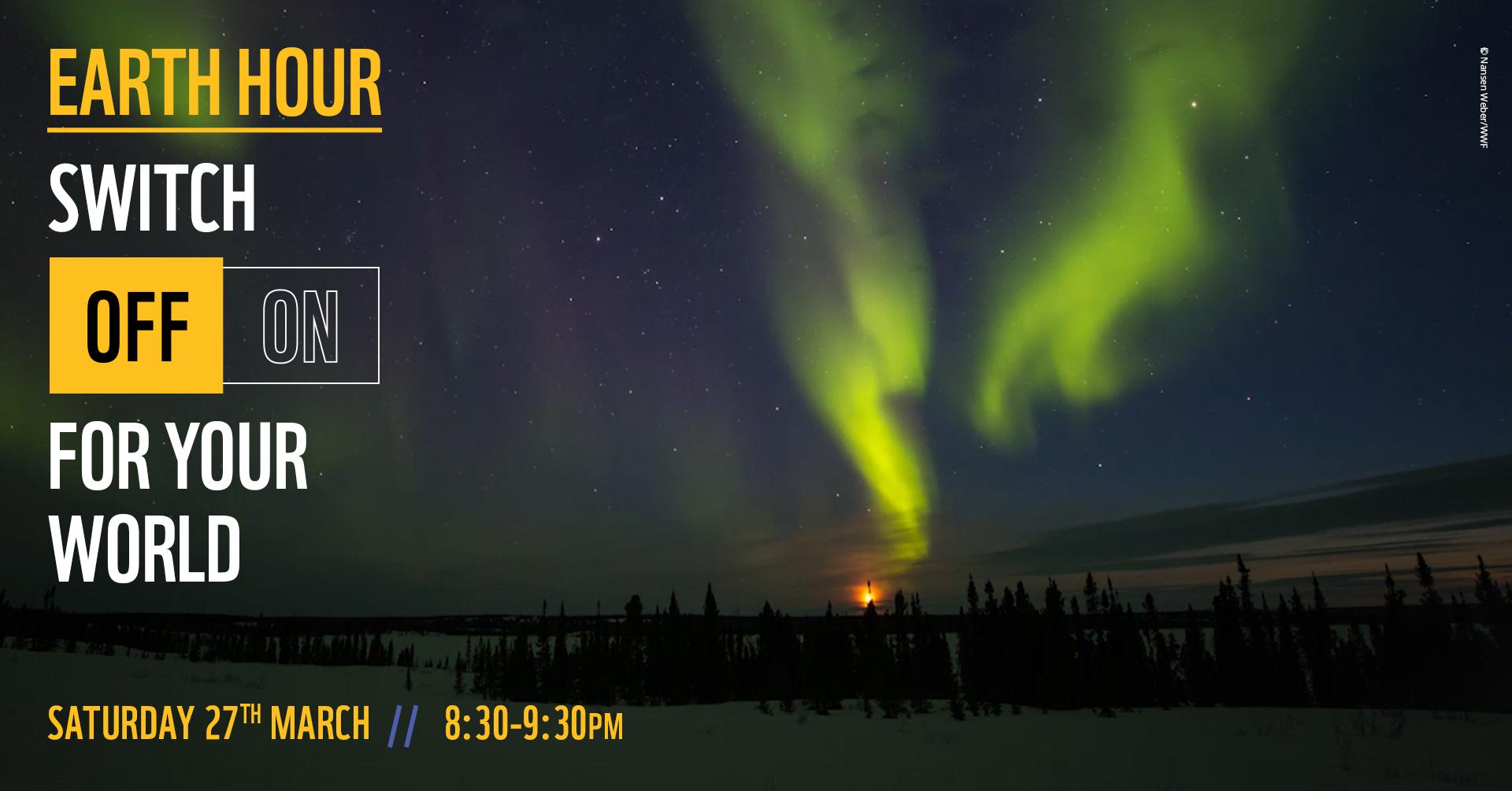 Northern Lights