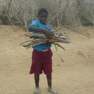 Boy collecting firewood