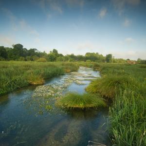 The River Itchen winds its way through the Hampshire countryside.