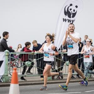 Team Panda runners at BM10K