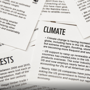 News articles