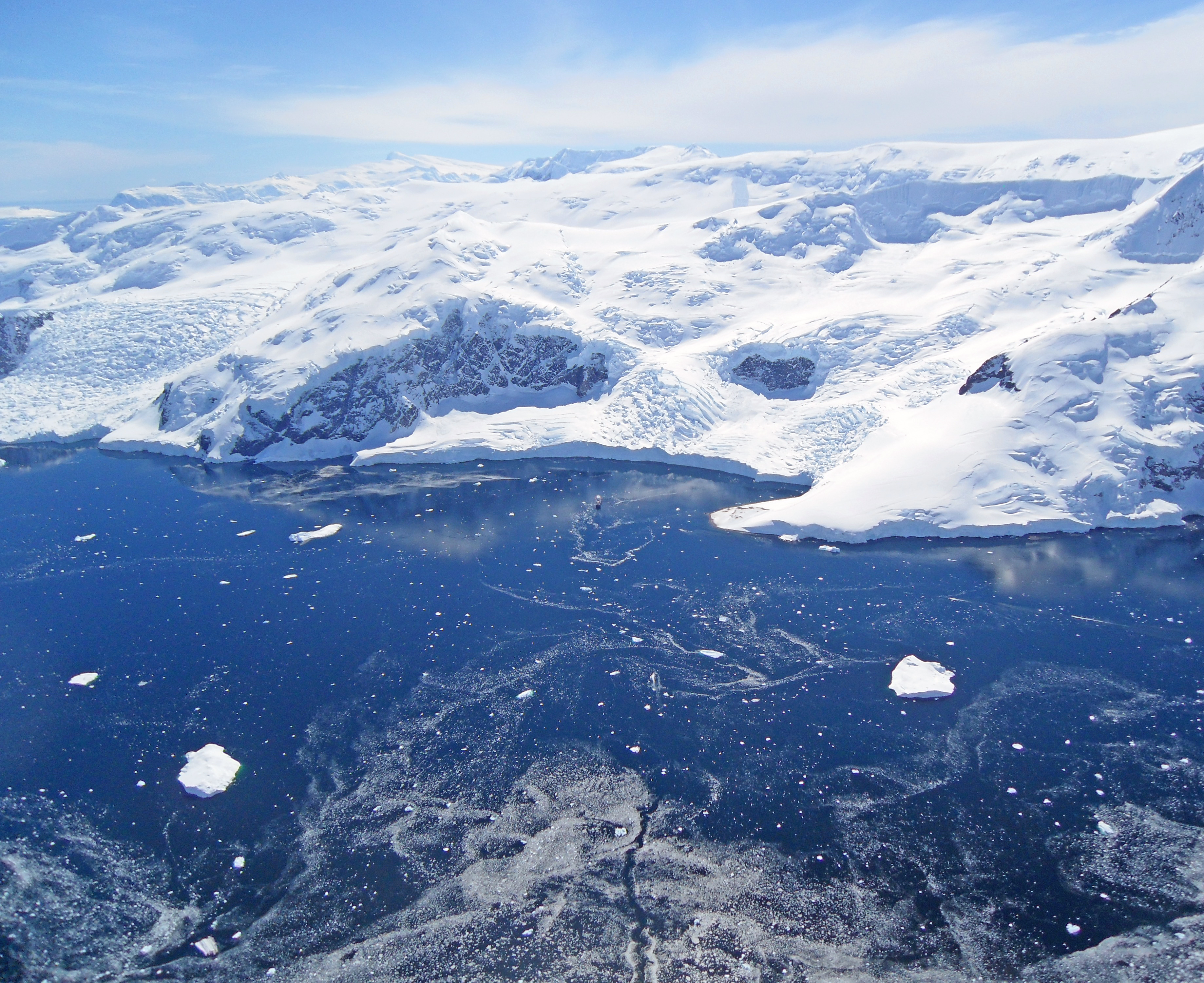 Flying over Gentoo penguin colonies, Neko Harbour, Antarctica