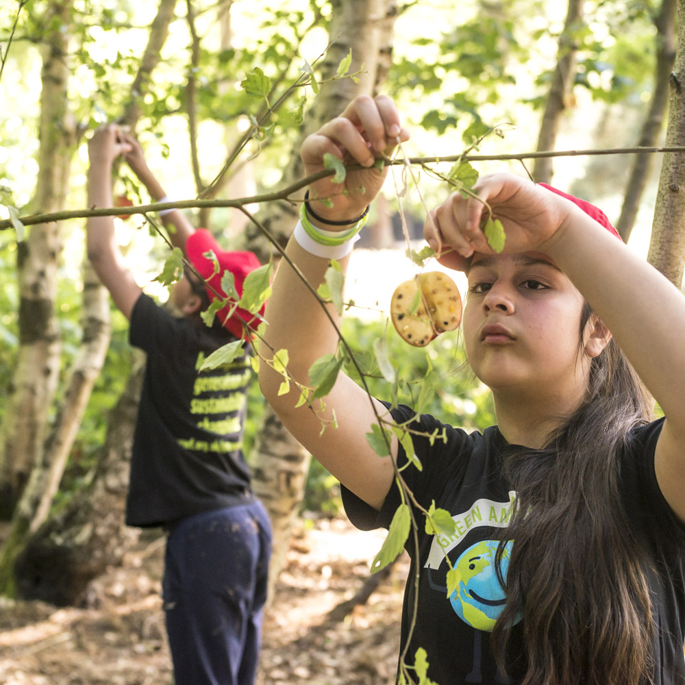 Activities For Youth Groups Wwf