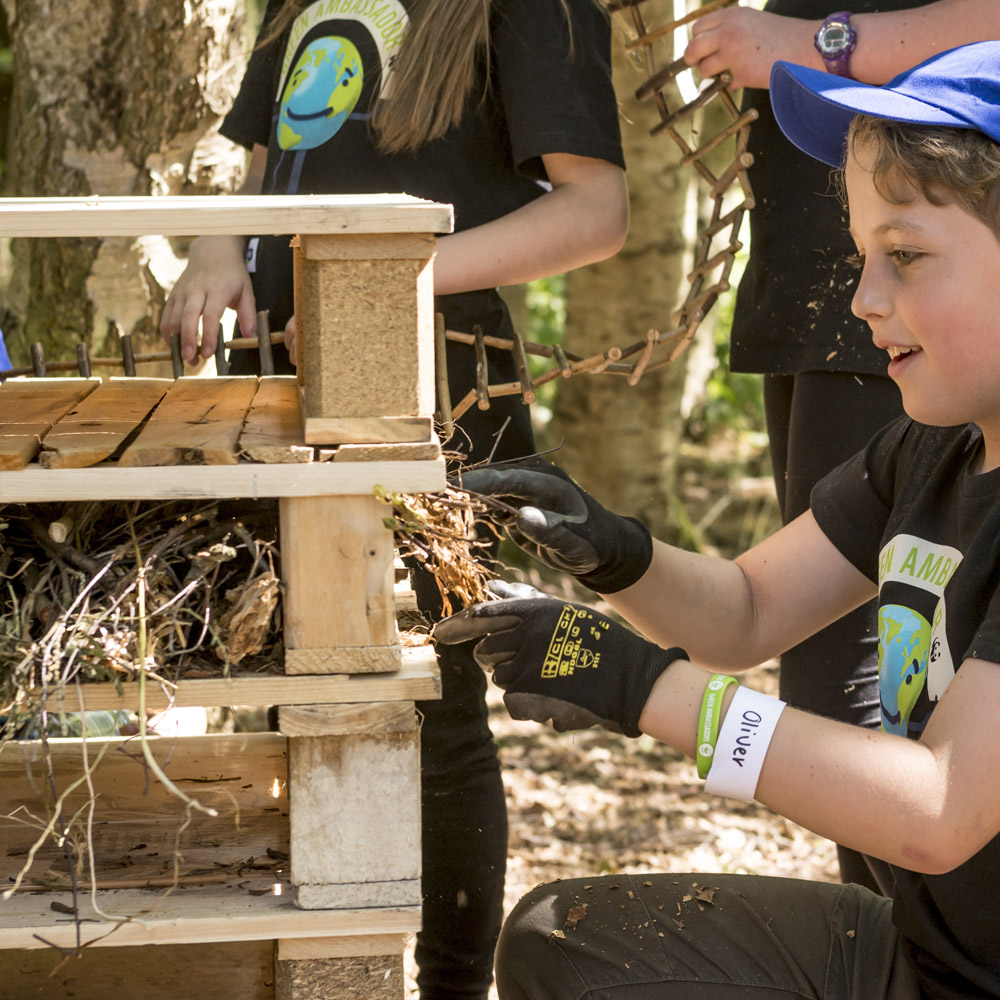 best new zealand casino online