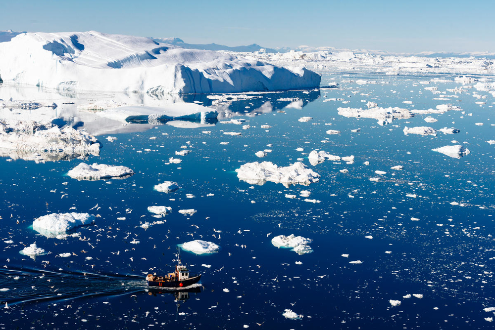 a fishing vessel attracts seabirds against a background of icebergs near Ilulissat, Greenland